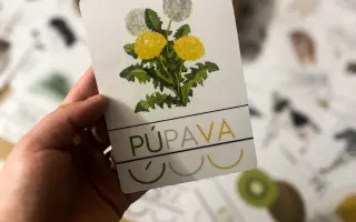 Pomôžte Hravému detstvu rásť – tvoríme učenie, ktoré deti baví