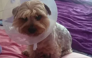 Pomôžme Charliemu získať späť kúsok života Pomôžme Charliemu získať späť kúsok života