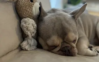 Pomôžme Dionkovi znovu chodiť