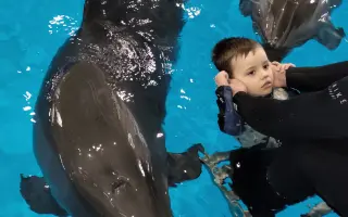 Darujme terapie pre Dávidka