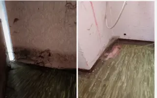 Pomôžte mi nestratiť domov po rokoch životných strát