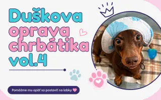 Oprava Duškovho chrbátika vol. 4