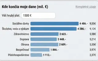 Slovensko 3.0: Kam tečú naše dane? Vidíme štátu na prsty.