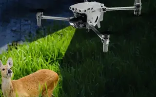 Pomôžte zachrániť životy malých srnčiat