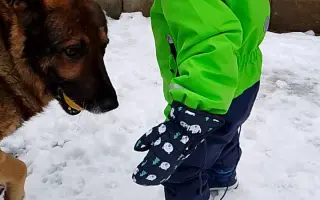 Pomôžte nám zachrániť nášho Dinka