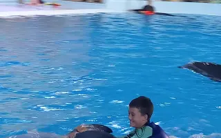 Darujme Dávidkovi delfínoterapiu