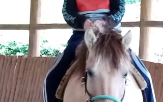 Pomôžme mame dvoch detí udržať si domov