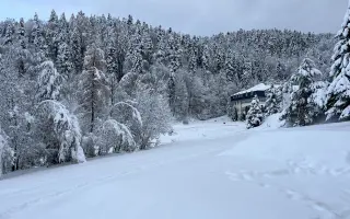 Pomôžme ukrajinským psychologičkám ostať silné