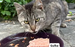 Pomôžte nám dlhodobo pomáhať pouličníkom