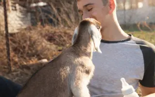 Podporte vznik malej rodinnej farmy a Minizoo