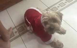 Pomôžme Charliemu získať späť kúsok života Pomôžme Charliemu získať späť kúsok života