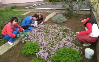 Čarovná záhrada  – podporte pracovnú činnosť  ľudí so zdravotným znevýhodnením