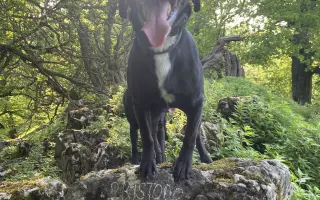 Darujme Benjimu nový život bez bolesti