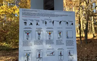 Vybudujte s nami nové ihrisko v Borovicovom háji