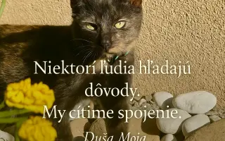 KEĎ ZVIERA (ne)MÁ HLAS - medzigeneračný projekt pre deti, seniorov a komunity
