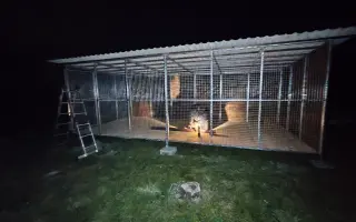 Pomohli ste nám postaviť bezpečnú voliér pre mačky bez domova