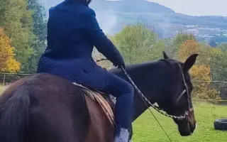 Pomôžme Lenke splniť jej konský sen