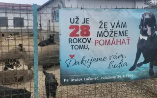 Darujme psíkom v útulku čistú vodu