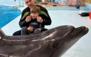 Pomôžme Miškovi lepšie porozumieť svetu