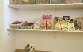 Pomôžte Stelke v boji s onkologickým ochorením