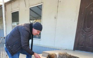 Na Ukrajine trpia nielen ľudia, ale aj zvieratá - pomôžme im
