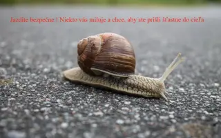Podporte vydanie jedinečného, nepredajného časopisu Cesty bez cieľa