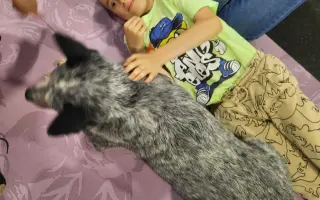 Pomôžme dvojičkám Walinkovi a Sebinkovi s autizmom