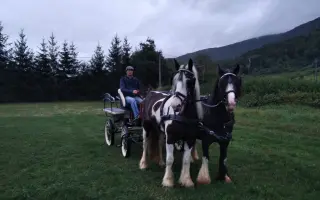 Pomôž nám vybudovať centrum pre kone