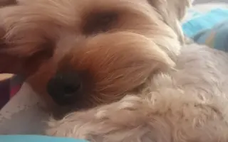 Pomôžme Charliemu získať späť kúsok života Pomôžme Charliemu získať späť kúsok života