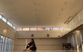 Tanec si našiel Jasmínu. Teraz pomôžme Jasmíne nájsť cestu do Bruselu.