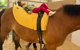 Dôstojný domov pre tichých terapeutov - liečia a menia sny