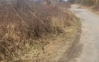 Darujme psíkom v útulku čistú vodu