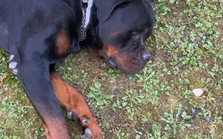 Darujme Crisovi šancu na život bez bolesti