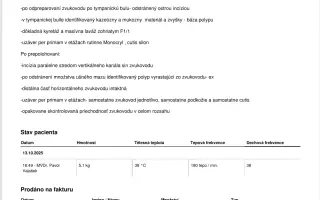 Laruška bojuje o život – pomôžme jej zvíťaziť nad bolesťou