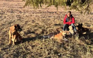 Pomôžme Jessiemu opäť sa postaviť na labky bez bolessti Pomôžme Jessiemu opäť sa postaviť na labky bez bolessti