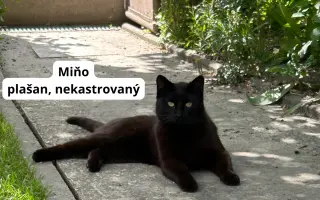 Pomôžte nám dlhodobo pomáhať pouličníkom
