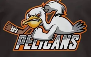 Pomôžte LC Pelicans reprezentovať Slovensko na Winter Tatry Cup 2026 Pomôžte LC Pelicans reprezentovať Slovensko na Winter Tatry Cup 2026