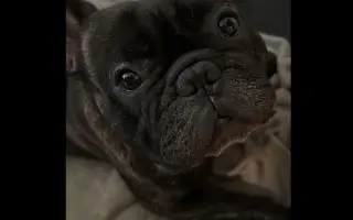 Pomôžme Hugovi postaviť sa na nohy po operácii