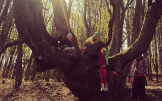 Pomôžme lesnej škôlke Kremienok prekonať ťažké obdobie