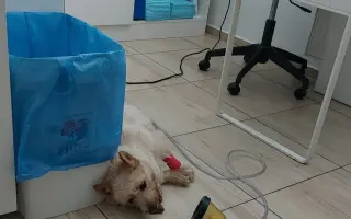 Pomôžme Lusynke znovu voľne dýchať