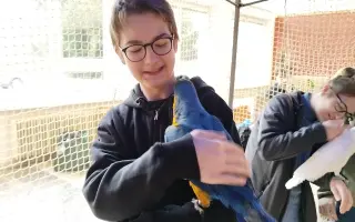 Pomôžme Jakubkovi zabezpečiť liek Androcur zo zahraničia