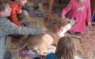 Pomoc Sallynke pri boji s leukémiou