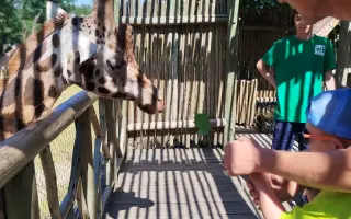 Pomôžme Oliverkovi napredovať