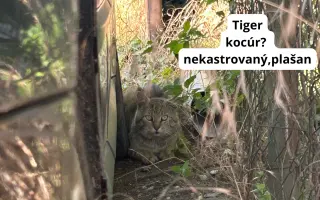 Pomôžte nám dlhodobo pomáhať pouličníkom
