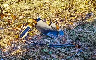 Pomôžte mame troch detí znovu zabezpečiť bezpečnú dopravu do školy a škôlok