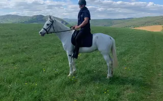 Jazdenie na koni Újazd | Podporate mladých farmárov v chove koní