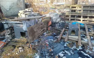 Dajme pouličným kocúrikom šancu prežiť zimu v zdraví