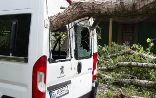 Pomôžme kajakárom. Strom im rozdrvil klubové auto aj prívesný vozík na kajaky.