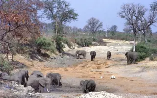 Podporte vydanie knihy a získajte darček - sugestívny príbeh z Kalahari