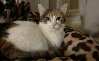 Pomôžte mi uhradiť náklady za posledný boj mojej Karmy